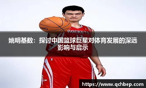 U8国际平台